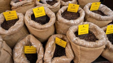 «On doit s’attendre à de très fortes fluctuations»: pourquoi le prix de la tasse de café n’est pas près de baisser