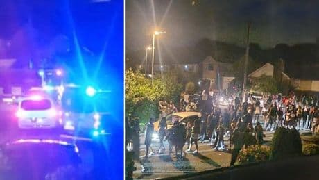 ‘Gender reveal’ rampage after 200 gatecrashers swarm village