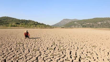 Türkiye’nin yüzde 88’i çölleşme tehdidi altında: 2030’da su fakiri olabiliriz