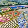 Don't forget your guide ropes! Glastonbury revellers warned TENTS are at risk from 32mph gusts of wind amid 'mixed' weather... but at least London has another heatwave coming