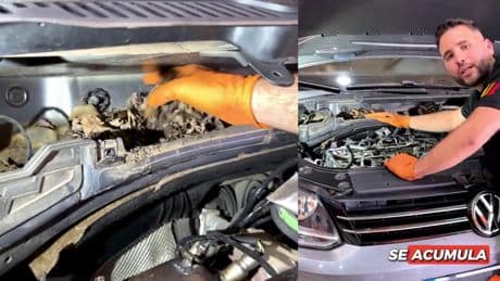 Quitar la hojarasca del parabrisas del coche es más importante de lo que piensas: “Puede llegar a provocar problemas en el motor y servir de nido para las ratas”