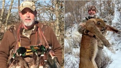 Milionario del Texas trafitto a morte da un bufalo durante una battuta di caccia: la tragedia in Sudafrica