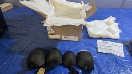 Man admits trying to smuggle 850 protected turtles valued at $1.4 million to Hong Kong