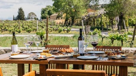 Familia Torres, referente de enoturismo sostenible en el Penedès
