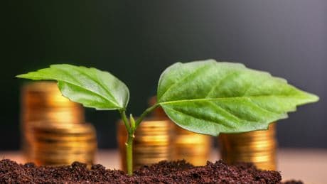 Luz verde a la Ley Ómnibus I: ¿Riesgo u oportunidad para la sostenibilidad empresarial?