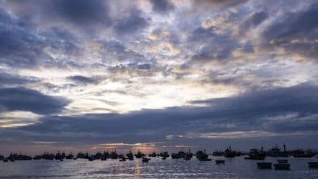 Scientists warn swathes of the Earth’s waters are undergoing mysterious 'ocean darkening'