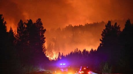 Scientists sound alarm over dangerous long-term impacts of wildfires on humans