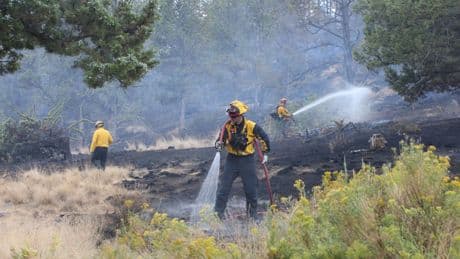 Firefighters try to corral California forest blaze as lightning strikes bring risk of new ignitions