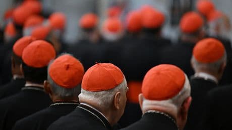 El otro &#039;juego del trono&#039; papal: siete órdenes se disputan el liderazgo en el Vaticano