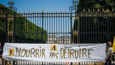 Agriculture : « La proposition de loi Duplomb favorise les plus puissants et oublie les plus modestes »
