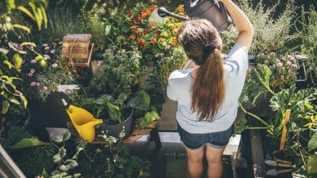 Sonntag: Welche Gartenarbeiten man machen darf – und welche nicht