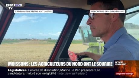 "Il y aura une bonne quantité et une bonne qualité sur la parcelle": après la moisson désastreuse de 2024, les agriculteurs céréaliers ont le sourire