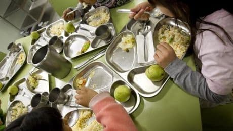 Adiós a los refrescos, la bollería industrial y los precocinados en el comedor del colegio