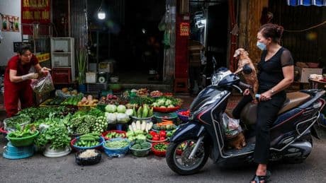 Verkehrspolitik: Verbrenner-Mopeds in Hanoi bald verboten