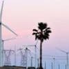 US green energy firms brace for federal funding cuts