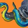 heise+ | Zalando-Scraper: Sneaker-Schnäppchen mit Python tracken