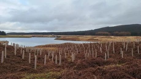 Scottish Water creates new native woodlands in South Lanarkshire