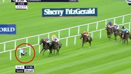 Investigation launched after Aidan O’Brien horse 'distracted' by photographer in big race