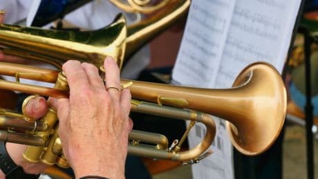 Braunschweig: Polizei lädt zu Charity-Konzert im Prinzenpark ein