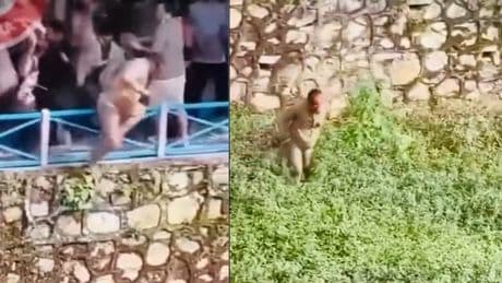 Ülke karıştı, maliye bakanı böyle linç edildi