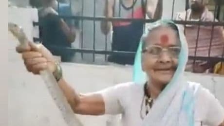 Cool, cooler, Shakuntala - Oma fängt Schlange mit bloßen Händen