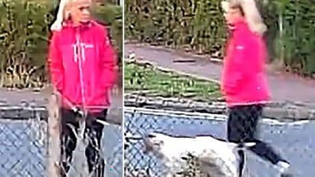 Gran's final moments revealed as twisted killer kept sick 'trophies' from dog walk murder