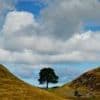 Man accused of felling Sycamore Gap tree told police he was framed in feud