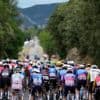 Tour de France: 17. Tour-Etappe: Milan gewinnt Sprint