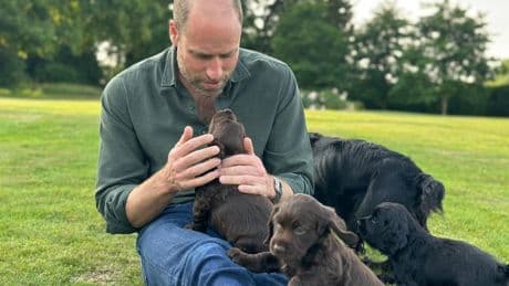 Peta claims Prince William and Kate are ‘staggeringly out of touch’ after pet dog has puppies