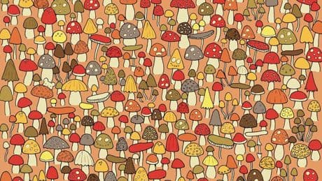 Suchbild: Augentest: Können Sie die Maus in nur 15 Sekunden finden?