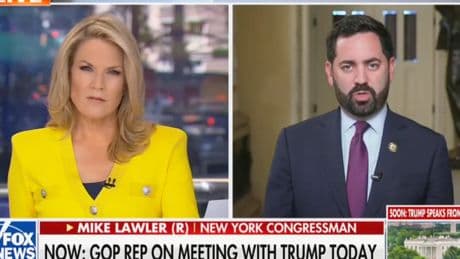 House Republican goes scorched earth on Trump’s ‘big, beautiful bill’ in Fox News appearance