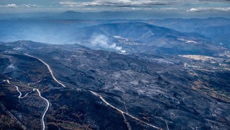 El 24% de los incendios forestales fueron intencionados y más de la mitad por negligencias en 2024, según la Fiscalía