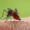Organ-destroying virus that has sparked global pandemic fears is rife in holiday hotspots, warn experts