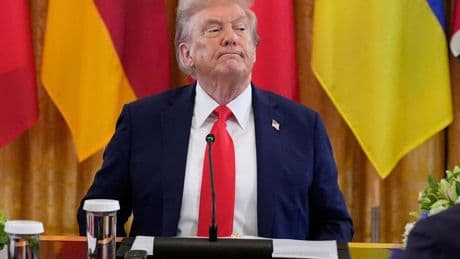 Ukraine-Gespräche: Trump: Treffen von Putin und Selenskyj in Vorbereitung