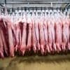 Handelsstreit: China verhängt Zölle auf Schweinefleisch aus der EU