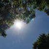 "Des valeurs proches des records pour un mois de mai" : quelle météo pour le pont de l'Ascension, marqué par un épisode de forte chaleur ?