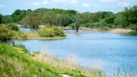Lüchow-Dannenberg: Kanu kentert – Vater stirbt, Kinder werden gerettet