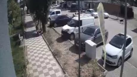 Sokak köpekleri çocuklara saldırdı! O anlar kamerada