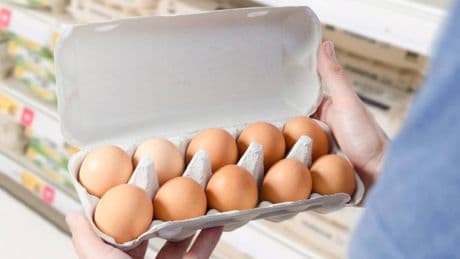 Kuş gribi krizi Türkiye’ye yaradı: Yumurta ihracatı ABD ve Avrupa’da zirve yaptı