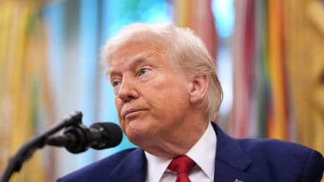 We finally got a detailed look at how America's businesses are managing through Trump's tariff whiplash