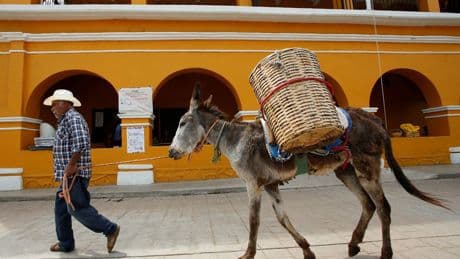 Lage opkomst en protesten: weinig interesse voor ‘historische’ verkiezingen in Mexico