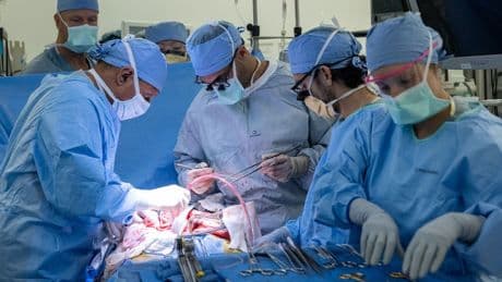 Medizin: Chirurgen gelingt weltweit erste Blasentransplantation