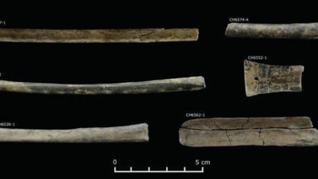 La evidencia más antigua de humanos usando drogas alucinógenas está en los Andes