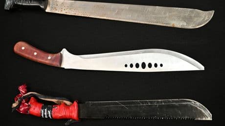 Australian state plans to ban the sale of machetes following violent gang fight