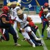 American Football: Erste Heimniederlage für Berliner Footballer