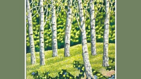 Il libro di Dario Furlanetto, Milioni di alberi, è una consolazione