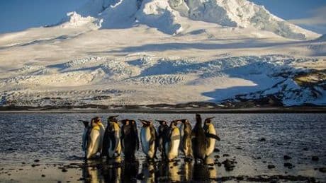 Heard Island: Gletscherschwund auf australischer Insel alarmiert Forschende
