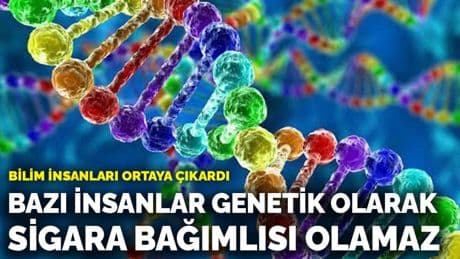 Bilim insanları ortaya çıkardı: Bazı insanlar genetik olarak sigara bağımlısı olamaz