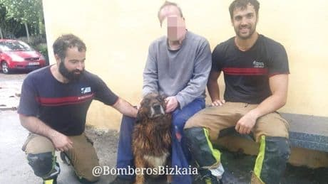 Los bomberos rescatan a un perro que cayó al río Nervión en Arrankudiaga: «No lo ha puesto fácil, estaba muy asustado»