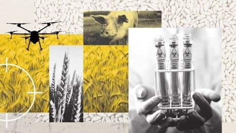 Spices, crops and ham sandwiches: How the UK could fall victim to ‘agroterrorism’